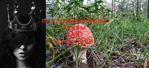 гашишное масло Алексин
